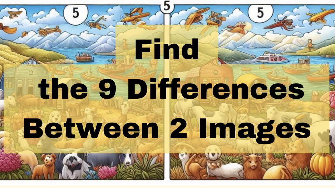 Fınd the 9 Differences Between 2 Images